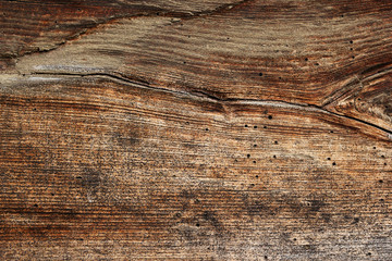 wood borers holes on wooden plank