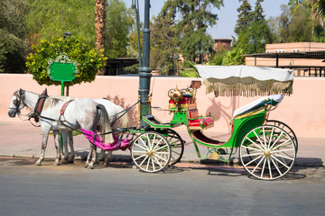 street life Morocco Marrakech, herbs, work, donkeys, horses, cooking, market, handicrafts, transport