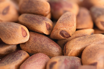 Pine nuts closeup