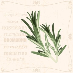 Sprig of in vintage style