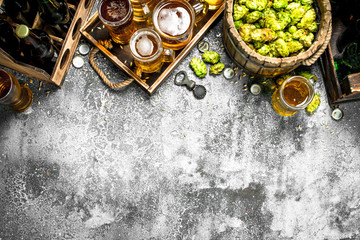 Beer background. Fresh beer with ingredients.