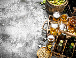 Beer background. Fresh beer with ingredients.