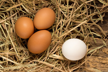 egg. straw. on wood