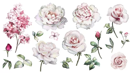Fotobehang Rozen Set aquarel elementen van rozen, pioenrozen collectie tuin roze bloemen, bladeren, takken, botanische illustratie geïsoleerd op een witte achtergrond. rozenknop