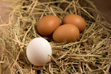 egg. straw. on wood
