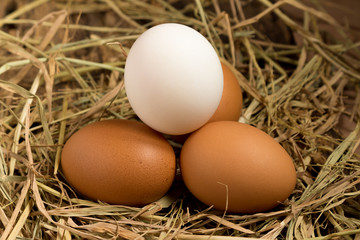 egg. straw. on wood
