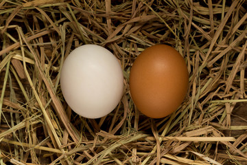egg. straw. on wood