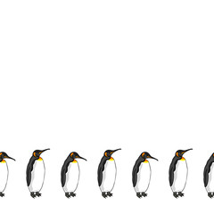 Vector decorative border from bird penguin on white background.  Emperor penguin