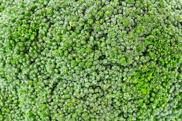 broccoli texture background closeup