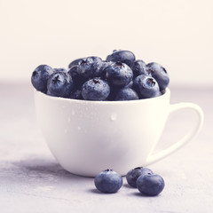 Fresh Raw Organic Farm Blueberry in Cup on white kitchen Background Square Toned