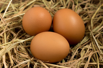 egg. straw. on wood