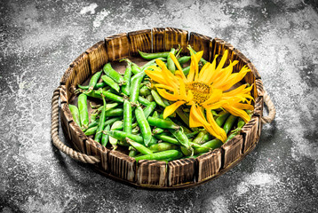 Green peas with a sunflower in an old tray.