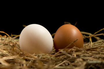 egg. straw. on wood.  black background