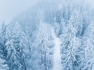 Flight over snowstorm in a snowy mountain coniferous forest, uncomfortable unfriendly winter weather.