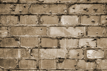 colored wall brick
