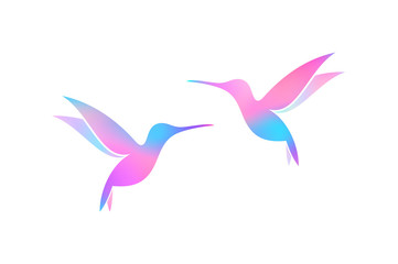 Flying hummingbirds. Colorful birds on white background