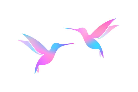 Flying hummingbirds. Colorful birds on white background