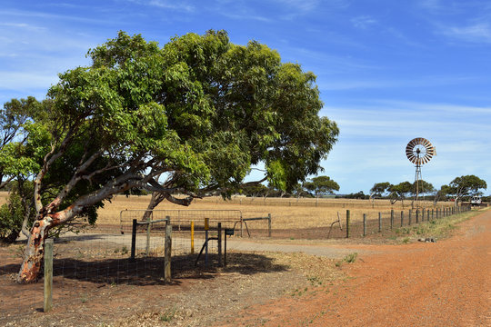 Australia, Western Australia, nature
