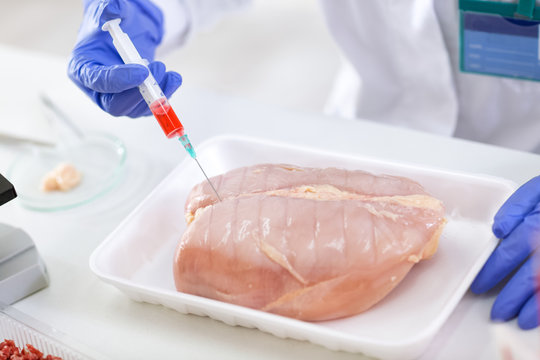 Putting sample of chemical with injection in to the test chicken meat