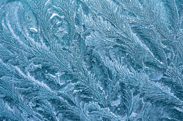 The ice-cold frost forms ice crystals in beautiful unique patterns