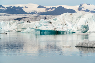 Fototapeta na wymiar Jokulsarlon glacier lagoon bay with blue icebergs floating on still water with reflections, Iceland