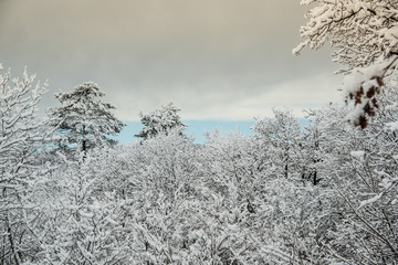 Winter landscape and snow in Slovenia