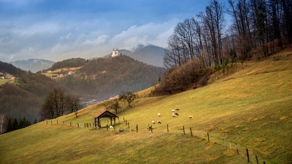 Mountain Landscape and Sheep in Slovenia
