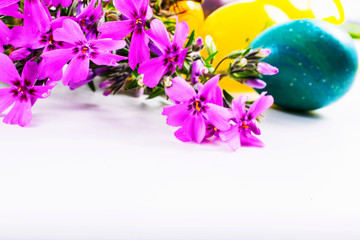 colorful easter eggs and phlox flowers on white background with copy space. border template, easter greeting and holiday card.