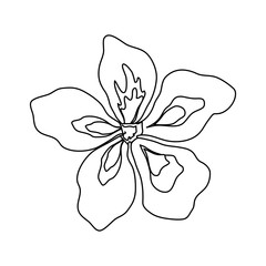 Beautiful flower symbol