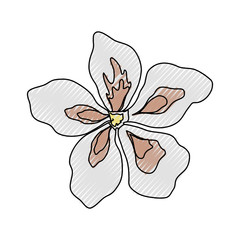 Naklejka premium Beautiful flower symbol