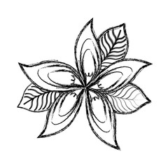 Beautiful flower symbol