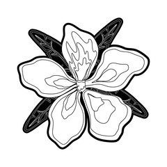Beautiful flower symbol
