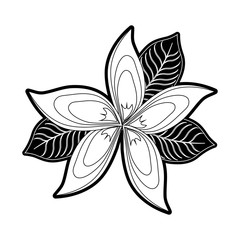 Beautiful flower symbol