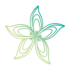 Beautiful flower symbol