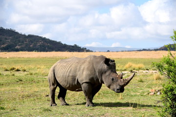 2015-10 Südafrika