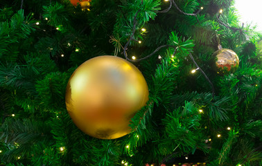 Obraz na płótnie Canvas Christmas tree light of silver and Golden