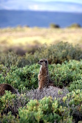 2015-10 Südafrika