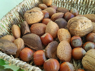 Mix of different types nuts close-up