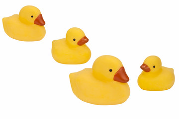 Family of Rubber Ducks - Isolated