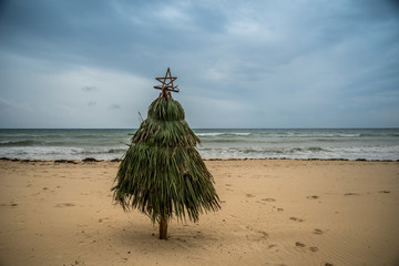 Christmas Tree on Beach  - 186446045