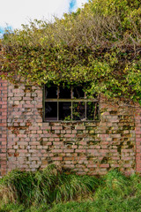 Farm Building Window