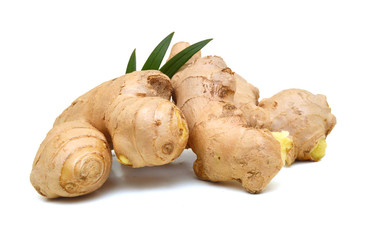 Fresh ginger root or rhizome isolated on white background cutout