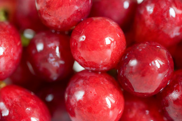 Close-up red wine grapes background