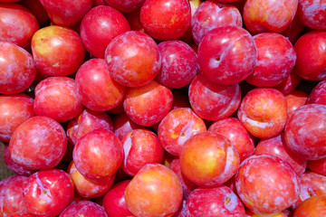 Ripe red plums