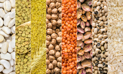 Çeşitli Bakliyatlardan oluşan kolaj