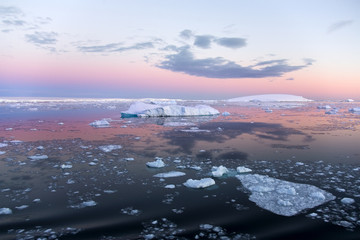 Antarctica - Weddell Sea