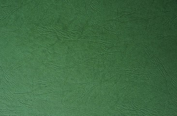 Green paint leather texture . Useful for abstract background with copy space