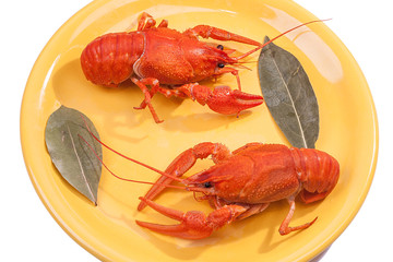Cooked crawfish and bay leaf on a yellow plate
