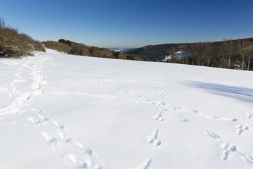 Fototapeta na wymiar Funny Snow Tracks in the Eifel, Germany