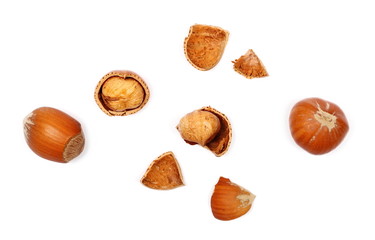 Hazelnuts isolated on white background, top view